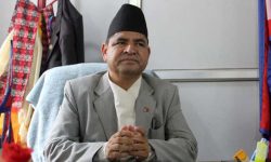 काम नगर्ने कम्पनीलाई कारबाही गर्न निर्देशन