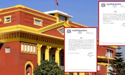 राष्ट्रपतिबाट रेशम चौधरीसहित १९ जनालाई आममाफी, ४८२ जनाको बाँकी कैद मिनाहा