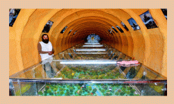 शालिग्राम सङ्ग्रहालय