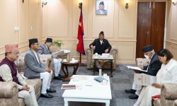 संवैधानिक परिषद्को बैठक बस्दै