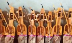 सारङ्गी संस्कृति लोप हुने चिन्ता