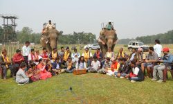 सौराहा हात्तीसँगै बसेर दोहोरी छायाङ्कन
