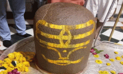 वनकालीमा पार्थिव शिवलिंगको पूजा