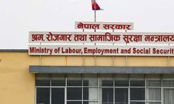 श्रम तथा रोजगार क्षेत्रको बजेट कटौती