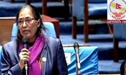 प्रदेश नामकरणको विवाद वार्तामार्फत समाधान गरौँ : सांसद श्रेष्ठ