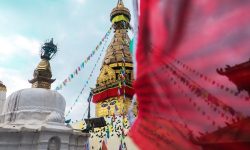 अस्थि धातु परिक्रमा तथा सर्वसाधारणलाई दर्शन खुला