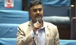 नक्कली भुटानी शरणार्थी प्रकरणबारे एमालेले माग्यो प्रगति विवरण