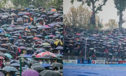 झरीमा पनि टसमस नभएका क्रिकेटप्रेमी (तस्बीरसहित)