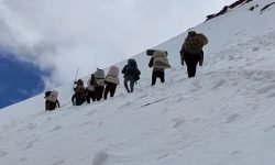 यार्सा टिप्न हिँडेका तीन जना बेपत्ता