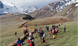 डोल्पामा यार्सागुम्बा संकलन खुला