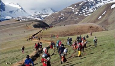 डोल्पामा यार्सागुम्बा संकलन खुला