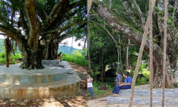 चौतारी, पोखरी र वर, पीपल संरक्षण गर्दै जैमिनी