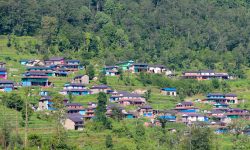 साताका सात तस्बिर