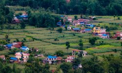 साताका सात तस्बिर