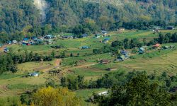 साताका सात तस्बिर