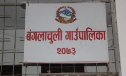 बंगलाचुलीमा ‘एक घर एक रोजगार’ कार्यक्रम