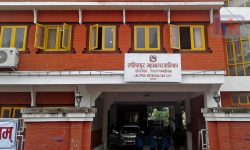 ललितपुर महानगरको नीति तथा कार्यक्रम : आयोजना बैंक, श्रम बैंकदेखि क्लिनिङ एम्बुलेन्ससम्म