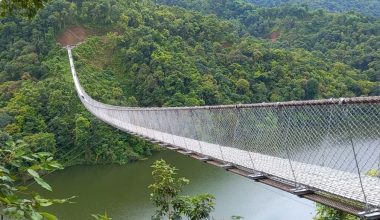 आकर्षक र नौला झोलुंगे पुल निर्माणलाई प्राथमिकता