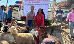 चेपाङलाई बाख्रा वितरण