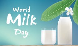 विश्व दूध दिवस : दूध उत्पादनबाट विदेशभन्दा राम्रो कमाइ