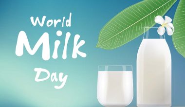 विश्व दूध दिवस : दूध उत्पादनबाट विदेशभन्दा राम्रो कमाइ