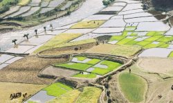 ‘किसानका आँखा आकाशतिर’