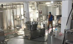 दुग्ध उद्योग स्थापनापछि बजार व्यवस्थापनमा सहज