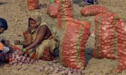 प्याजले रुवायो