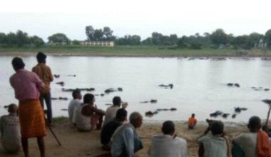 गर्मीले बिचल्ली