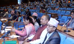 अङ्कको सट्टा प्रदेशको नाम राख्न निर्देशन