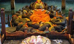 हरिशयनी एकादशीको कथा