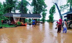 कञ्चनपुरमा डुबान पर्ने जोखियुक्त क्षेत्र पहिचान