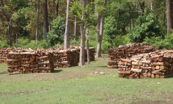 पैदावार सङ्कलन गर्न पाउँदा बाँकेका उपभोक्तामा खुसियाली