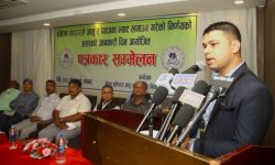 आलु र प्याजमा भ्याट लगाउने सरकारको कदम अनुचित