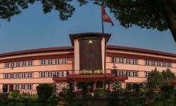 नागरिकता विधेयकसम्बन्धी रिट न्यायाधीशद्वय राउत र माथेमाको इजलासमा