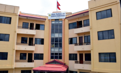 थप ११ वटा कम्पनीहरुलाई ब्रोकर कम्पनीको लाईसेन्स