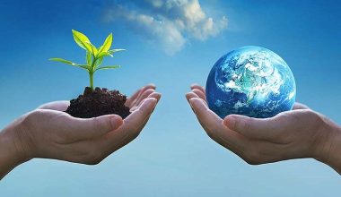 विश्व वातावरण दिवसमा प्रभातफेरी