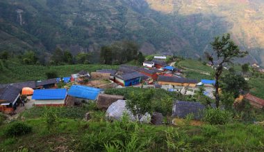 ‘विकास गाउँ आयो, मान्छे बजार झरे’