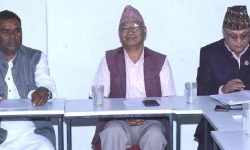 जसपा केन्द्रीय समितिको बैठक सुरु