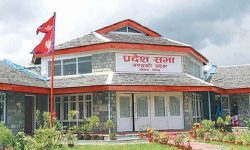 दिगो, फराकिलो र चुस्त राजस्व प्रणालीमा जोड