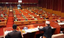 राजनीतिक नेतृत्वले नै अराजकतालाई प्रश्रय दिए : सांसदहरु