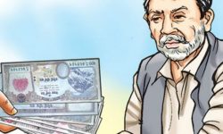 मादीमा एकल पुरुषलाई भत्ता, हलगोरु पाल्ने कृषकलाई अनुदान