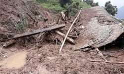 वडासदस्यसहित दुईजना पुरिए