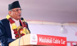 नवप्रवर्तनमुखी कृषि प्रणालीको खाँचो छ : प्रधानमन्त्री