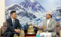 अध्यक्ष तिमिल्सिनासँग दक्षिण कोरियाली राजदूतको भेट