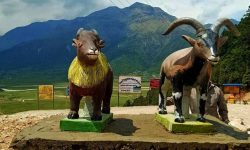 ढोरपाटन देउरालीमा वन्यजन्तुको मूर्ति