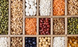 रैथाने बालीको संरक्षण गर्न सामुदायिक बीउ बैंक