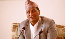 विद्युत् विधेयक संघीय संसद्मा पेस गर्ने निर्णय