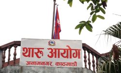 सिफारिस कार्यान्वयन नभएकाे थारू आयोगको गुनासो