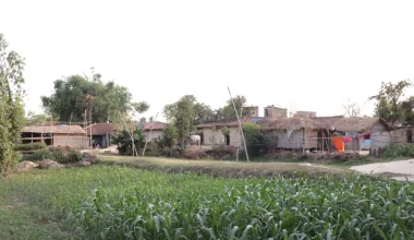 होचो स्थानका होचै सपना